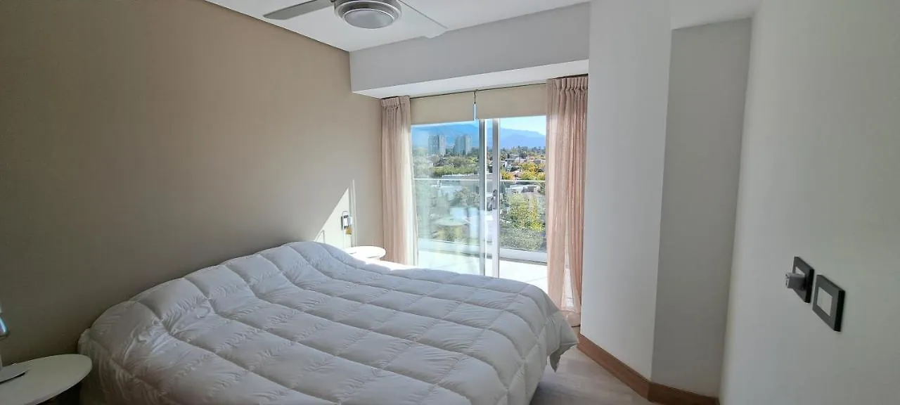 La Mejor Vista A Las Montanas Y La Ciudad Mendoza